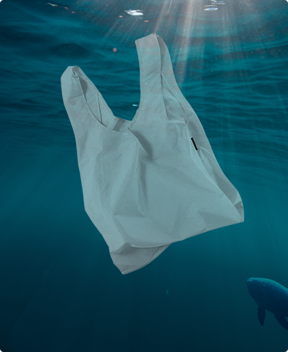 Reusable Bag Recycling